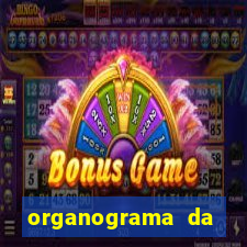 organograma da cacau show